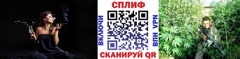  Cocaine Карабулак