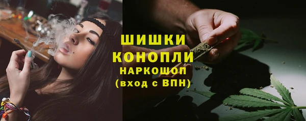 дживик Володарск