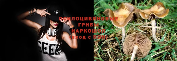 дживик Володарск
