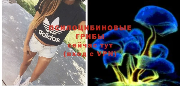 стафф Верея