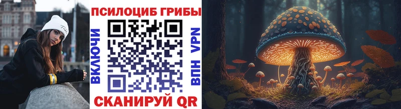 Псилоцибиновые грибы Psilocybe  KRAKEN ONION  Карабулак 